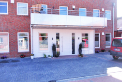 Igel blutuntersuchung